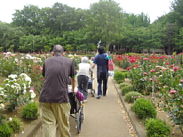 main3_ivefm0625leg2meq74i6