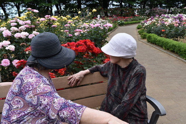 main2_47j8zm50jm9sh13yy3mr